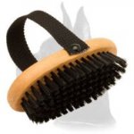 Comfy Great Dane Brush for Everyday Grooming 'Brush & Go'