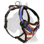 American Flag Handpainted Harness for Great Dane
