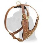 Spiked Leather Harness for Great Dane