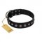 "Silver Flower" Exclusive FDT Artisan Black Leather Great Dane Collar with Silver-Like Studs