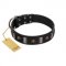 "Pirates' Symbol" Fashionable FDT Artisan Black Leather Great Dane Collar with Silver-Like Plates and Gold-Like Skulls
