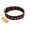 "Starry-Eyed" Best Quality FDT Artisan Brown Designer Leather Great Dane Collar with Small Plates