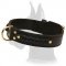 Wide 2 Ply Braided Leather Collar for Great Dane