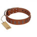 "Silver Century" Fashionable FDT Artisan Tan Leather Great Dane Collar with Silver-Like Plates