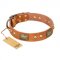 "Saucy Nature" FDT Artisan Tan Leather Great Dane Collar with Old Bronze Look Plates and Skulls