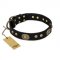 "High Fashion" FDT Artisan Studded with Plates Black Leather Great Dane Collar