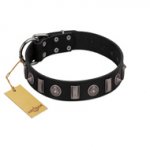 "Silver Spikes" Exclusive FDT Artisan Black Leather Great Dane Collar