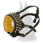 Royal Spiked Leather Muzzle for Great Dane