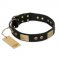 "Spanish night" FDT Artisan Fashionable Leather Walking Great Dane Collar