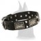 Handsome War Leather Collar With Nickel Plates and Pyramids for Great Dane