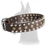 Wide Leather Collar with Studs and Pyramids for Great Dane