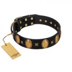 "Doggie Woggie" Designer Handmade FDT Artisan Black Leather Great Dane Collar with Ovals and Studs