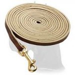 Tracking Leather Leash for Great Dane