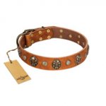 "Call of Feat" FDT Artisan Tan Leather Great Dane Collar with Old Bronze-like Studs and Oval Brooches