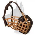 Attack/Agitation Training Leather Muzzle for Great Dane