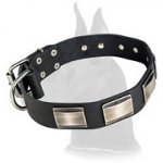 Designer Leather Collar with plates for Great Dane