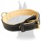 Super Soft Leather Collar for Great Dane
