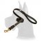 Deluxe Leather Leash with Studs for Great Dane