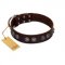 "King Arthur" FDT Artisan Brown Leather Great Dane Collar with Spiky Plates