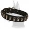 Stunning Leather Collar for Great Dane