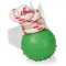 Small Water Dotted Rubber Ball "Joy and Train"