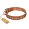 "Daily Chic" FDT Artisan Tan Leather Great Dane Collar with Decorations