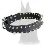 Leather Spiked Great Dane Collar