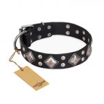 "Smart Geometry" FDT Artisan Studded Leather Great Dane Collar
