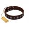 "Pure Sensation" Exclusive FDT Artisan Brown Leather Great Dane Collar with Fancy Brooches and Studs
