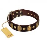 "Retro Pusle" FDT Artisan Brown Leather Great Dane Collar with Old Bronze-like Studs and Oval Brooches