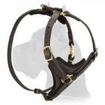 Easy Walk Leather Harness for Great Dane