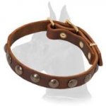 Handcrafted Great Dane Leather Collar with Luxurious Decorations