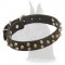 Leather Great Dane Collar with Attractive Design