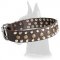 Wide Leather Collar with Studs and Pyramids for Great Dane