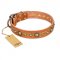 "Feast of Luxury" FDT Artisan Tan Leather Great Dane Collar with Old Bronze Look Circles
