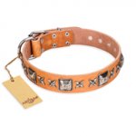 "Glamour Finery" FDT Artisan Female Great Dane collar of natural leather with stylish old-looking circles