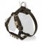 Leather Puppy Harness with Spiked Delicate Chest for Great Dane
