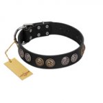 "Mister Exclusive" Designer FDT Artisan Black Leather Great Dane Collar with Medallions