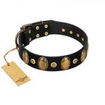 "Venerable Pawty" FDT Artisan Black Leather Great Dane Collar with Old Bronze-like Ovals and Studs
