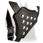 Great Dane Harness with Adjustable Straps for Puppy Walking and Training