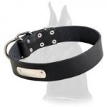 Simple Design Leather Collar with id tag for Great Dane