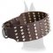 Wide leather collar with spikes and pyramids for Great Dane