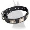Designer Leather Collar with plates for Great Dane