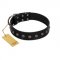 "Flower Rhapsody" FDT Artisan Premium Quaulity Black Leather Great Dane Collar