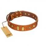 "Woofy Dawn" FDT Artisan Tan Leather Great Dane Collar with Plates and Rhombs