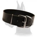 Extra Wide Leather Collar for Great Dane
