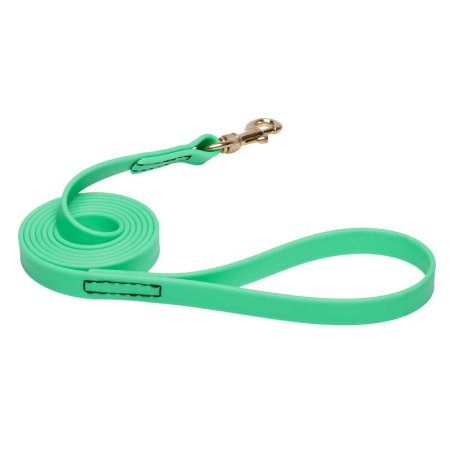 Green Waterproof Great Dane Leash Made of Biothane
