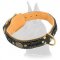 Decorated Leather Great Dane Collar for Basic Training