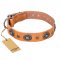 "Twinkle Twinkle" FDT Artisan Incredible Studded Tan Leather Great Dane Collar