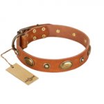 "Visual Magic" FDT Artisan Tan Leather Great Dane Collar for Daily Activities